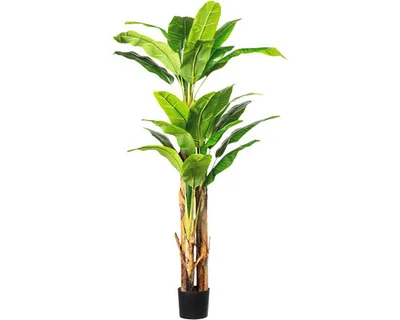 Produktbild von Kunstpflanze Bananenpflanze Höhe: 180 cm grün