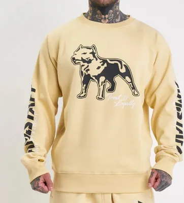 Produktbild von Herren-T-Shirt "Amstaff Logo 2.0" aus Sweatstoff, Farbe: Vanillecreme - Größe: M