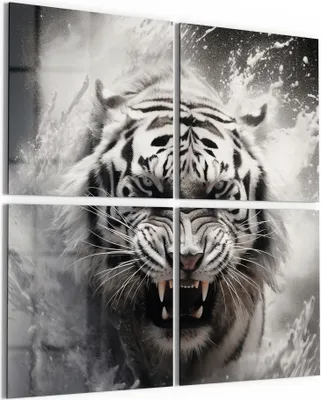 Produktbild von DEQORI Glasbild Echtglas 4x50x50 cm 'Wasserschlag des Tigers' Wandbilder XXL groß
