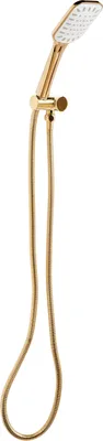 Produktbild von BELIANI Duschkopf mit Brauseschlauch Gold ABS Edelstahl 1 Strahlart Modern Klassisch Handbrause Set für Badezimmer Dusche
