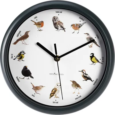 Obrázok produktu pre Nástenné hodiny H&S Collection so spevom vtákov 25 cm
