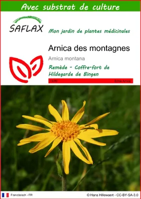 Image de SAFLAX  - Arnica des montagnes - 40 graines - Avec substrat - Arnica