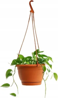 Produktbild von Terracotta Hängeblumentopf 21cm/2L UV-beständig Balkon & Garten Kunststoff
