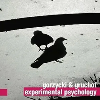 Produktbild von Gorzycki & Gruchot: Experimental Psychology