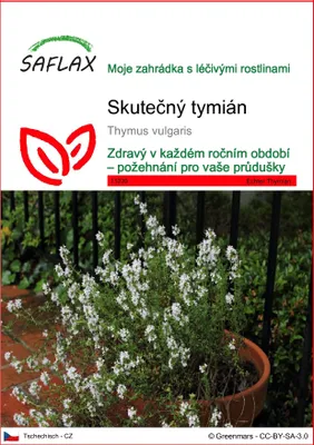 Obrázek produktu pro SAFLAX - Skutečný tymián - Thymus vulgaris - 200 Semena