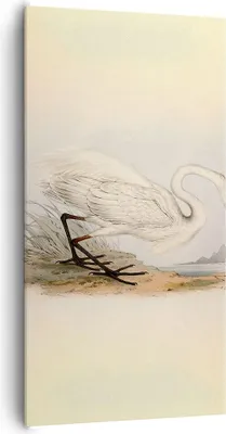 Produktbild von Bild auf Leinwand - Leinwandbild - Einteilig - Vogel Weiß Reiher - 65x120cm - Wand Bild - Wanddeko - Wandbilder - Leinwanddruck - Bilder - Wanddekoration - Leinwand bilder - Wandbild - PA65x120-4979