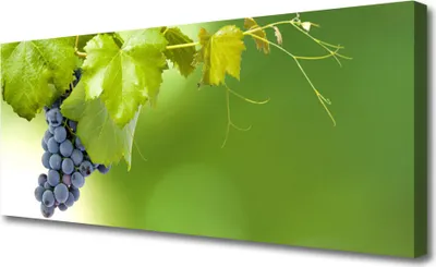 Produktbild von Tulup Leinwand-Bilder 125x50 Wandbild Canvas Kunstdruck Weintrauben Küche