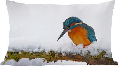 Produktbild von MuchoWow® Zierkissen Sofakissen Wohnzimmer Dekokissen 60x40 cm Eisvogel - Schnee - Winter - Kopfkissen - Polster mit Foto