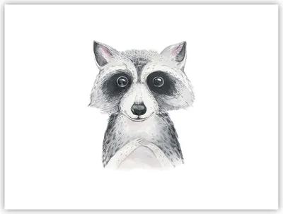Produktbild von Poster - Poster ohne Rahmen - Waschbär Bild Kinder - 40x30 cm - Wand Bild - Wanddeko - Wandbilder - Kunstposter - Wandposter - Bilder - Kunstdruck - Wanddekoration - Wandbild - P2XAA40x30-4607