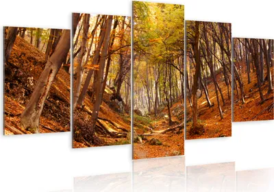 Produktbild von Modernes Wandbild 030212- 36 (100x50) - 5 Teilig Bilder Fotografie auf Vlies Leinwand Foto Bild Dekoration Wand Bilder Kunstdruck Natur