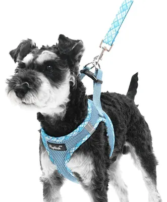Produktbild von Hundegeschirr und Leinen-Set für kleine bis mittlere Hunde, weichmaschen Welpen Geschirr, einsteckbar, reflektierend, hellblau, Größe S