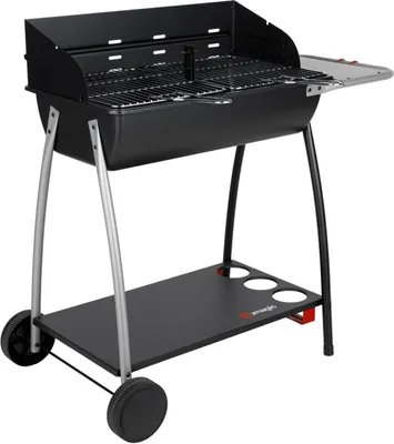 Image de Barbecue au charbon GIGA