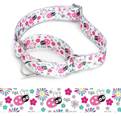 Zdjęcie produktu dla Obroża dla psa typu Martingale, nylonowa, regulowana, rozmiar M: 36-45 cm, model A85NO8