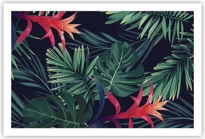 Produktbild von Poster - Poster ohne Rahmen - Exotisch Blumen Blätter - 91,5x61 cm - Wand Bild - Wanddeko - Wandbilder - Kunstposter - Wandposter - Bilder - Kunstdruck - Wanddekoration - Wandbild - P2XAA91x61-4308