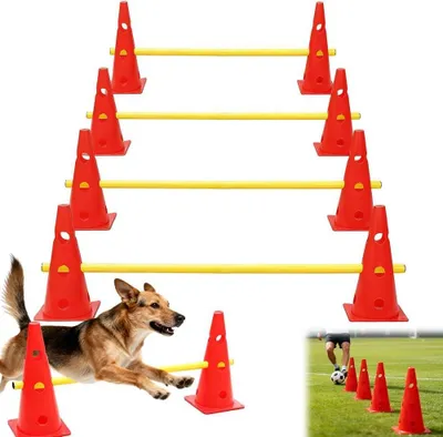 Zdjęcie produktu dla Zestaw do agility dla psów - pachołki treningowe dla psów - trening koordynacji - regulowane - 8 pachołków, 4 tyczki - różne kolory
