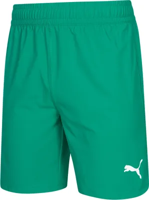 Zdjęcie produktu dla S|PUMA teamFINAL Herren Shorts 705076-05