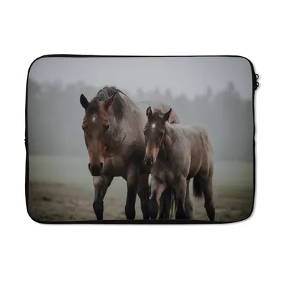 Produktbild von MuchoWow® Laptop Hülle 14 ZollPferde - Nebel - Gras Laptoptasche - Laptoptasche - Stoßsicher - Schutzhaube