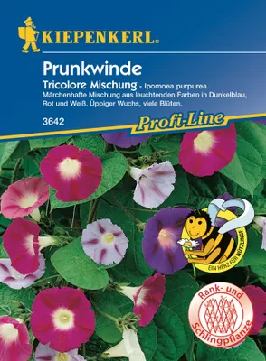 Produktbild von Prunkwinde Tricolore Mix | Windensamen von Kiepenkerl