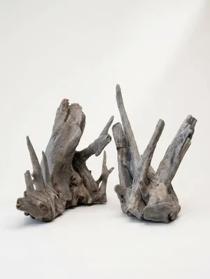 Produktbild von Nano Pinwood Wurzel 2er Set für Aquarium, NaturKultDeko by Sophie, L