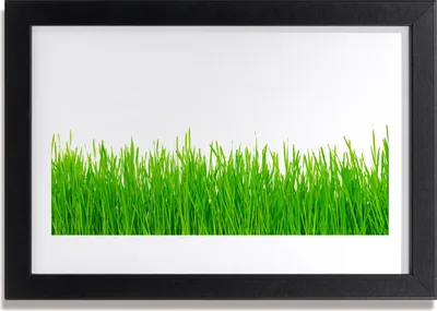 Produktbild von Bild 30x20 MDF-Rahmen Wandkunst Gras Natur Pflanze