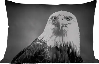 Produktbild von MuchoWow® Outdoor Kissen - Adler - Raubvogel - Schwarz - Weiß - Tiere - 60x40 cm - Wetterfest - Lounge Kissen - Zierkissen - Kissen für Innenräume
