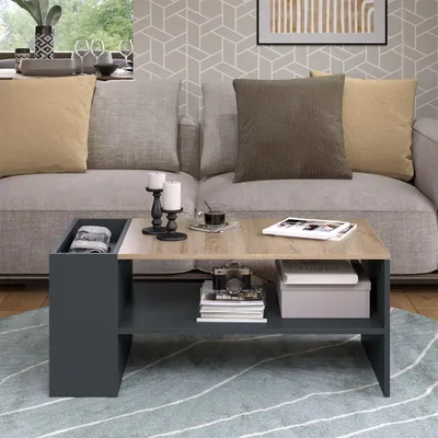 Immagine prodotto di Tavolino da salotto Vicco Wido Antracite/Sonoma 100 x 55 cm con ripiani, Model 56262