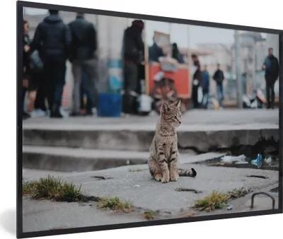 Produktbild von MuchoWow® MuchoWow® Gerahmtes Poster New York - Katze - Stein 90x60 cm - Poster mit zchwarzem Bilderrahmen - Fotorahmen - Foto-Plakat