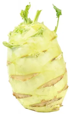 Produktbild von Kohlrabi Samen Gigant, 50 Stück, nicht holzig, zart, schoßfest und lange lagerfähig