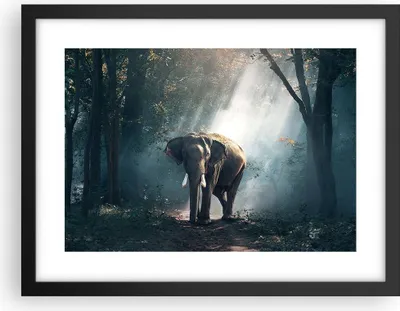 Produktbild von Gerahmtes Poster - Schwarzer Rahmen - elefant natur - 40x30 cm - Wand Bild - Wanddeko - Wandbilder - Kunstposter - Wandposter - Bilderrahmen - Bilder - Kunstdruck - Wandbild - P2BAA40x30-3972