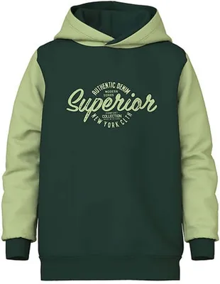 Immagine prodotto di Felpa con cappuccio Name It 13231404-PINE da Bambini