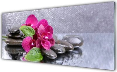 Produktbild von Acrylglasbilder 125x50 Wandbild Druck Blumen Steine Kunst