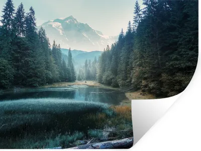 Produktbild von MuchoWow® Wandtattoo Wandsticker Wandaufkleber Wald - Gras - Berge - Bäume - Natur 80x60 cm Selbstklebend und Repositionierbar - Faltenfrei