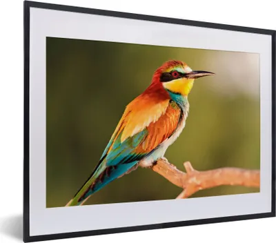 Produktbild von MuchoWow® Gerahmtes Poster Vögel - Bienenfresser - Regenbogen - Tiere 40x30 cm - Poster mit Schwarzem Bilderrahmen Wandposter Rahmen Foto Bilder - Bilderrahmen - Poster im Rahmen