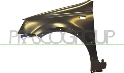 Produktbild von PRASCO FT1223024 Kotflügel Vorne Links für FIAT PANDA (169) PANDA Van (169)