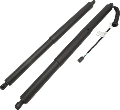 Image de Amortisseurs de hayon pour VW T-Roc (2017-2023) Ressort à gaz 61 cm Hayon Lot de 2