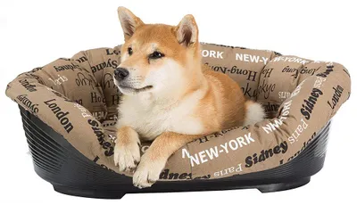 Produktbild von Ferplast Cuscino per Cuccia Cane SOFA' 8, in Cotone, Materassino Cuscino Imbotti