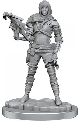Obrázok produktu pre WizKids Deep Cuts: Human Rogue
