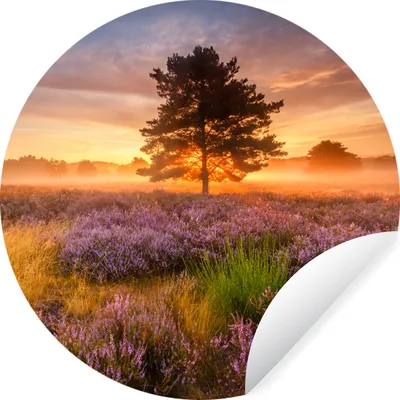 Produktbild von MuchoWow® Runde Wandtattoo - Wandsticker Tapete Aufkleber Heidelandschaft mit einem Baum Ø 30 cm Selbstklebend und Repositionierbar - Wandaufkleber - Kreis - Wandbild - Fototapete - Selbstklebend - Dekoration - Wandschmuck - Schlafzimmer