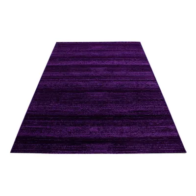 Image de Plus tapis poils ras rectangle 200x290cm lilas