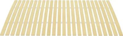 Produktbild von vidaXL Bettlattenrost Ersatz mit 24 Latten 120x200 cm