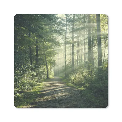 Produktbild von MuchoWow® Mauspad Mousepad Wald - Licht - Weg 20x20 cm - Mousepads - Maus Mat - Pad - Mausunterlage - Desk Mat - Bureauartikeln