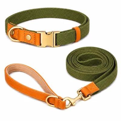 Produktbild von Hundeleine & Halsband Set aus Nylon mit Leder – robust, hochwertig, 1,5 m Leine – für kleine & große Hunde 7 Farben verfügbar Grün Größe S