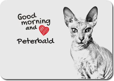 Produktbild von Peterbald - Mauspad mit Druck, personalisiertes Mauspad mit Katze, einzigartiges Gadget für Büroangestellte von Art-Dog.