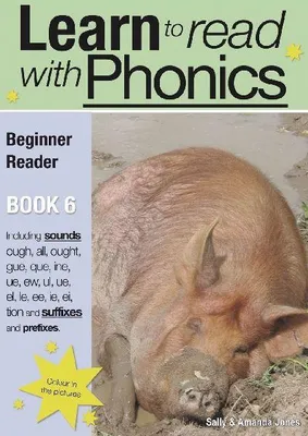 Produktbild von Learn to Read Rapidly with Phonics