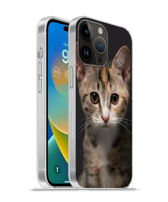 Produktbild von MuchoWow® Handyhülle Schutzhülle Hülle für Apple iPhone 14 Pro - Softcase Katze - Schwarz - Porträt Silikon Softcase Handy Hülle - Umschlag
