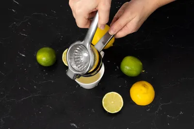 Obrázek produktu pro Lis na citrusy, nerezová ocel
