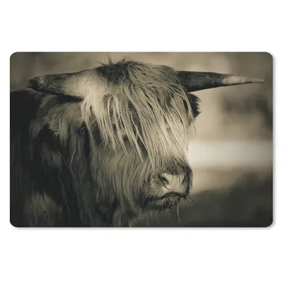 Produktbild von MuchoWow® Mauspad Mousepad Schottischer Highlander - Tiere - Haare 27x18 cm - Mousepads - Maus Mat - Pad - Mausunterlage - Büroartikel - Desk Matten
