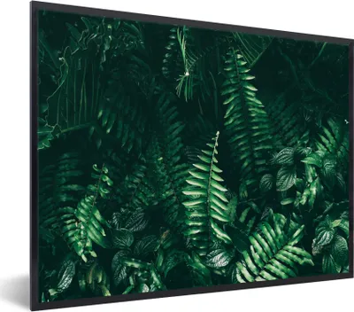 Produktbild von MuchoWow® Gerahmtes Poster Blätter - Dschungel - Natur - Tropisch - Pflanzen 80x60 cm - Poster mit Schwarzem Bilderrahmen Wandposter Rahmen Foto Bilder - Schwarzem - Mit Gestell