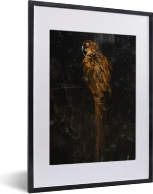 Produktbild von MuchoWow® MuchoWow® Gerahmtes Poster Papagei - Vogel - Foto 30x40 cm - Poster mit zchwarzem Bilderrahmen - Wandposter Schlafzimmer