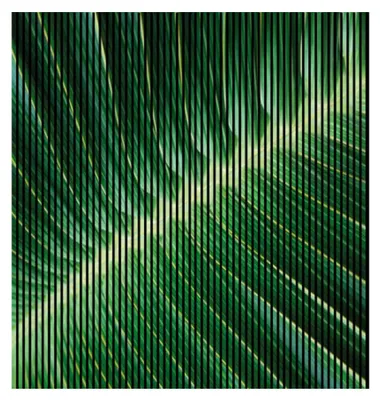 Produktbild von Akustikpaneele mit Digitaldruck Blatt01 19 x 2253 x 2400 mm Blatt Pflanze MDF PET-Fasern Wandpaneele Grün 4 Einzelplatten
